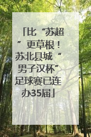 比“苏超”更草根！苏北县城“男子汉杯”足球赛已连办35届