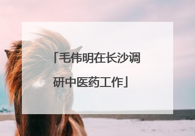 毛伟明在长沙调研中医药工作