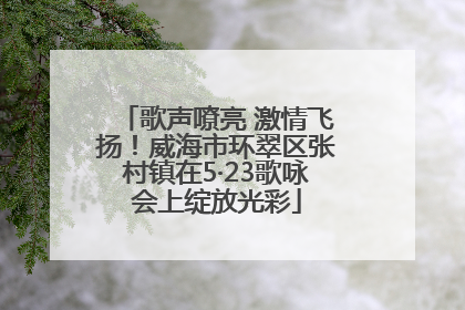 歌声嘹亮 激情飞扬！威海市环翠区张村镇在5·23歌咏会上绽放光彩
