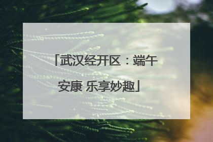 武汉经开区：端午安康 乐享妙趣