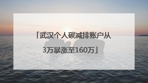 武汉个人碳减排账户从3万暴涨至160万