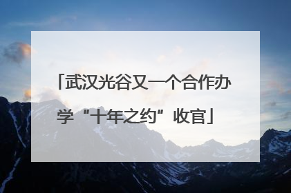 武汉光谷又一个合作办学“十年之约”收官