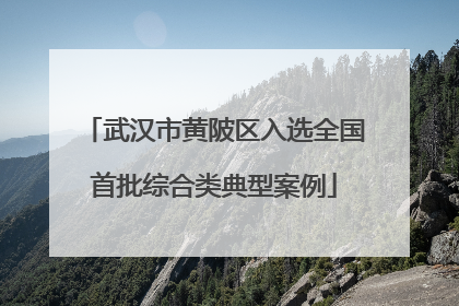 武汉市黄陂区入选全国首批综合类典型案例