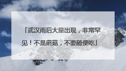 武汉雨后大量出现，非常罕见！不是蘑菇，不要随便吃