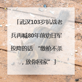 武汉103岁抗战老兵再喊80年前劝日军投降的话 “缴枪不杀，放你回家”