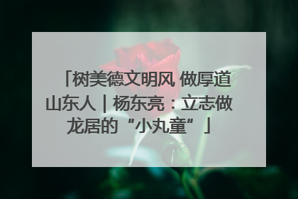 树美德文明风 做厚道山东人｜杨东亮：立志做龙居的“小丸童”