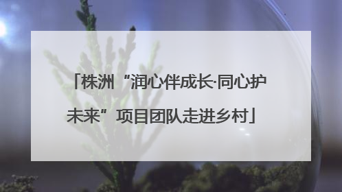 株洲“润心伴成长·同心护未来”项目团队走进乡村