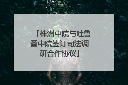 株洲中院与吐鲁番中院签订司法调研合作协议