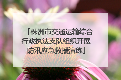 株洲市交通运输综合行政执法支队组织开展防汛应急救援演练