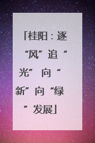 桂阳：逐“风”追“光” 向“新”向“绿”发展