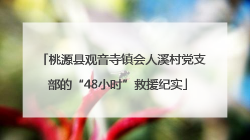 桃源县观音寺镇会人溪村党支部的“48小时”救援纪实