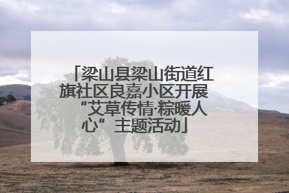 梁山县梁山街道红旗社区良嘉小区开展“艾草传情·粽暖人心”主题活动