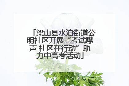 梁山县水泊街道公明社区开展“考试噤声 社区在行动”助力中高考活动