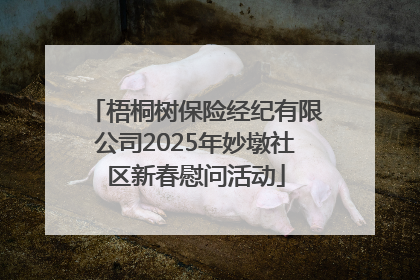 梧桐树保险经纪有限公司2025年妙墩社区新春慰问活动
