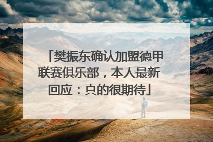 樊振东确认加盟德甲联赛俱乐部，本人最新回应：真的很期待