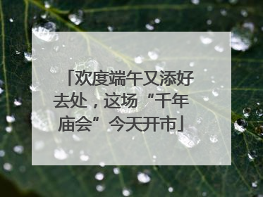 欢度端午又添好去处，这场“千年庙会”今天开市