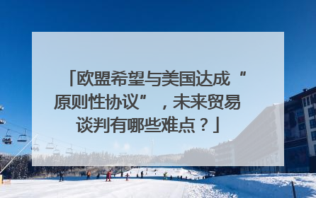 欧盟希望与美国达成“原则性协议”，未来贸易谈判有哪些难点？