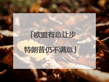欧盟有意让步 特朗普仍不满意