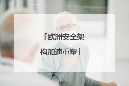 欧洲安全架构加速重塑