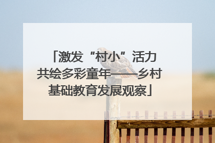 激发“村小”活力 共绘多彩童年——乡村基础教育发展观察