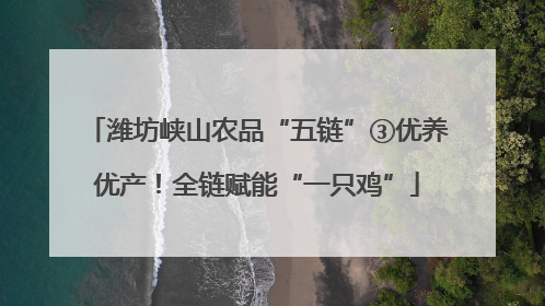 潍坊峡山农品“五链”③优养优产！全链赋能“一只鸡”