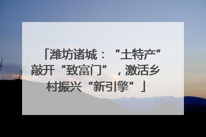潍坊诸城：“土特产”敲开“致富门”，激活乡村振兴“新引擎”