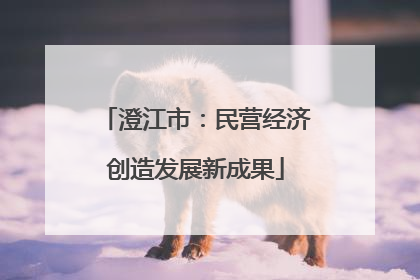 澄江市：民营经济创造发展新成果