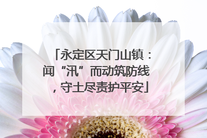 永定区天门山镇：闻“汛”而动筑防线，守土尽责护平安