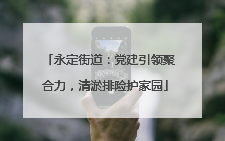 永定街道：党建引领聚合力，清淤排险护家园