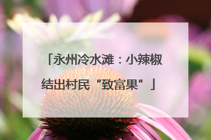 永州冷水滩：小辣椒结出村民“致富果”