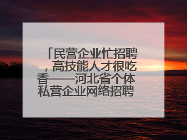 民营企业忙招聘，高技能人才很吃香——河北省个体私营企业网络招聘大会扫描