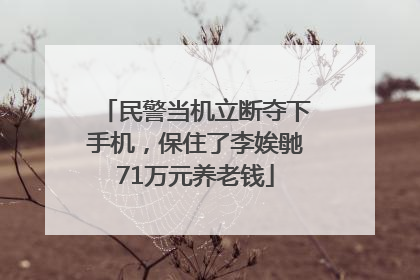 民警当机立断夺下手机，保住了李娭毑71万元养老钱