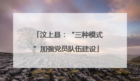 汶上县：“三种模式”加强党员队伍建设