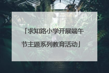 求知路小学开展端午节主题系列教育活动
