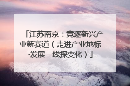 江苏南京：竞逐新兴产业新赛道（走进产业地标·发展一线探变化）