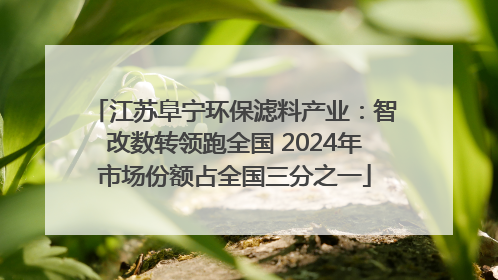 江苏阜宁环保滤料产业：智改数转领跑全国 2024年市场份额占全国三分之一