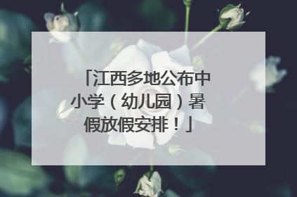 江西多地公布中小学（幼儿园）暑假放假安排！