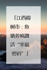 江西樟树市：鱼塘养殖激活“幸福密码”