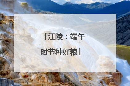 江陵：端午时节种好粮