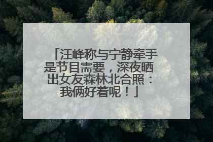 汪峰称与宁静牵手是节目需要，深夜晒出女友森林北合照：我俩好着呢！