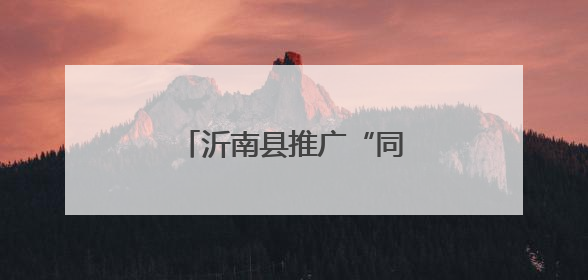 沂南县推广“同心共建”行动，提升乡村治理水平