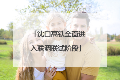 沈白高铁全面进入联调联试阶段