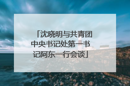 沈晓明与共青团中央书记处第一书记阿东一行会谈