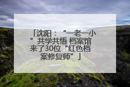 沈阳：“一老一小”共学共悟 档案馆来了30位“红色档案修复师”
