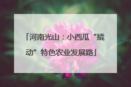 河南光山：小西瓜“撬动”特色农业发展路