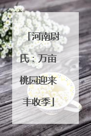河南尉氏：万亩桃园迎来丰收季