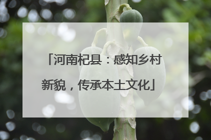 河南杞县：感知乡村新貌，传承本土文化