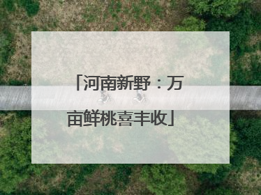 河南新野：万亩鲜桃喜丰收