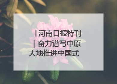 河南日报特刊｜奋力谱写中原大地推进中国式现代化新篇章