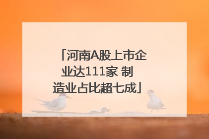 河南A股上市企业达111家 制造业占比超七成